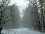 Зимняя дорога (парк Лосиный Остров, Москва)